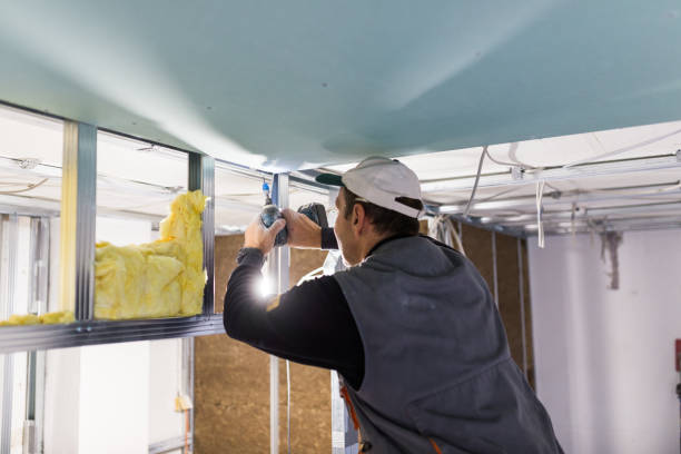 Best Attic Insulation Installation  in Ronkonkoma, NY