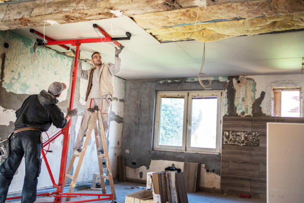 Best Insulation Contractors for Homes  in Ronkonkoma, NY