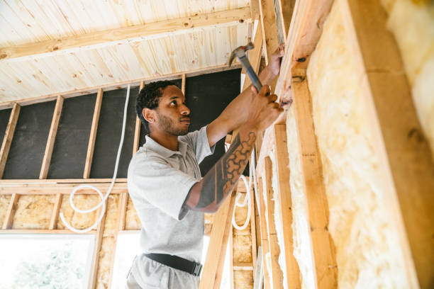 Best Insulation Removal  in Ronkonkoma, NY